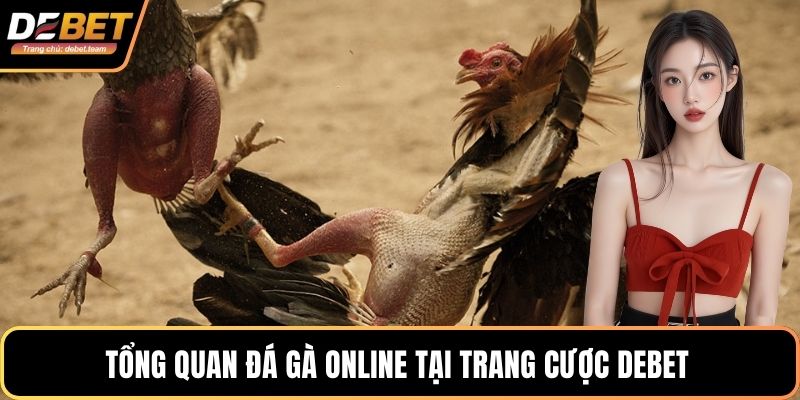 Tổng quan đá gà online tại trang cược Debet